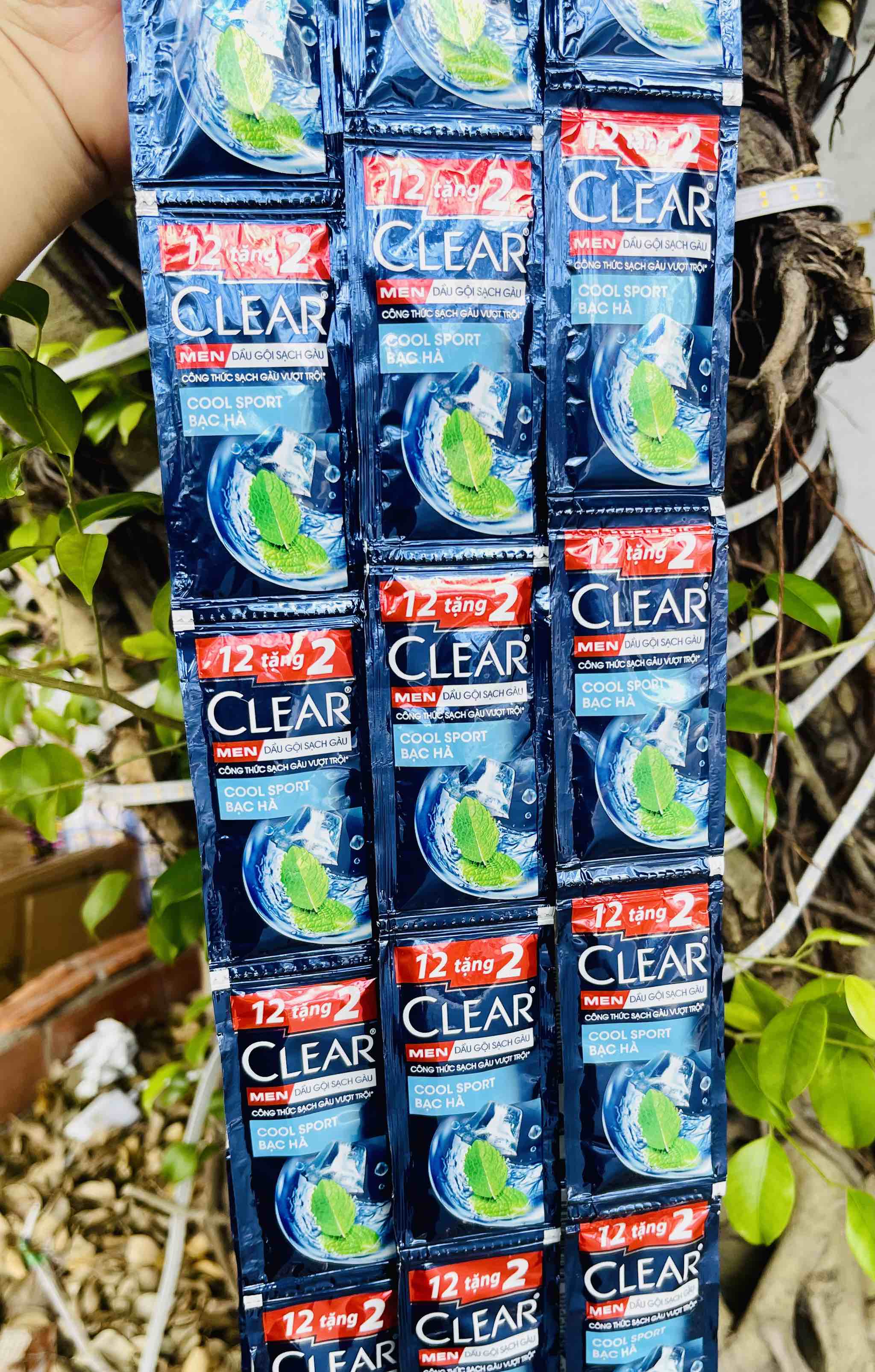 DÂY 14 GÓI DẦU GỘI ĐẦU CLEAR 5g BẠC HÀ XANH DƯƠNG