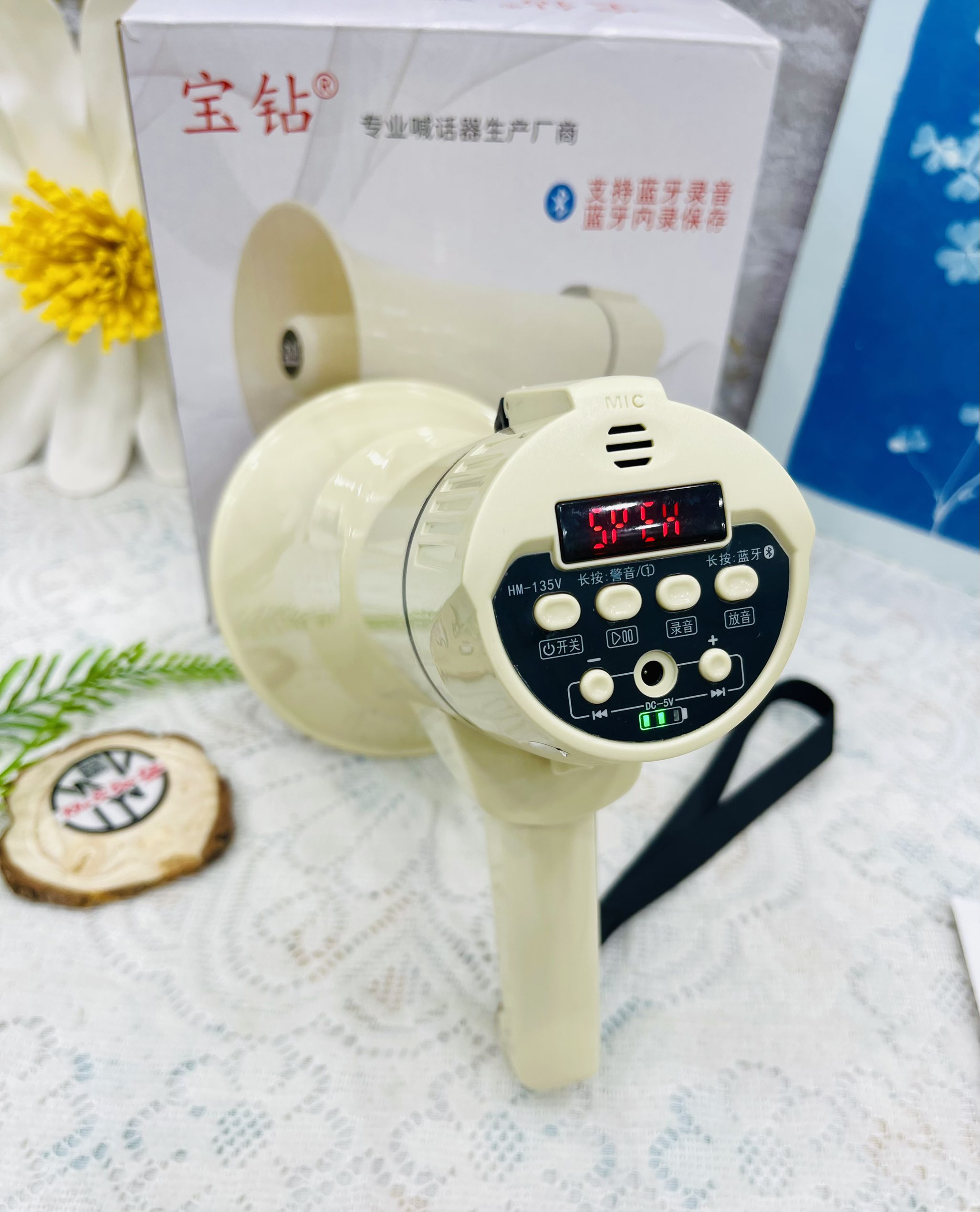 LOA PHÓNG THANH LOA RAO HM-135V (10)