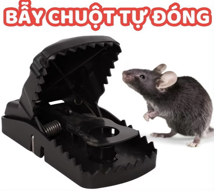 Bẫy Chuột Thông Minh Bằng Nhựa Cực Hiệu Quả (1)