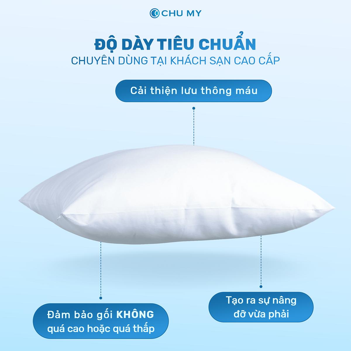 Gối Bông 3D CHU MY - Hình ảnh 2