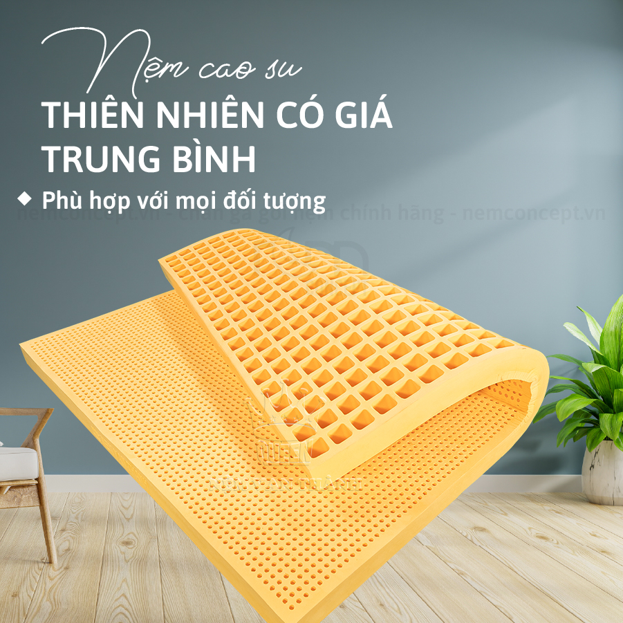 Nệm cao su Vạn Thành Standard - Hình ảnh 3