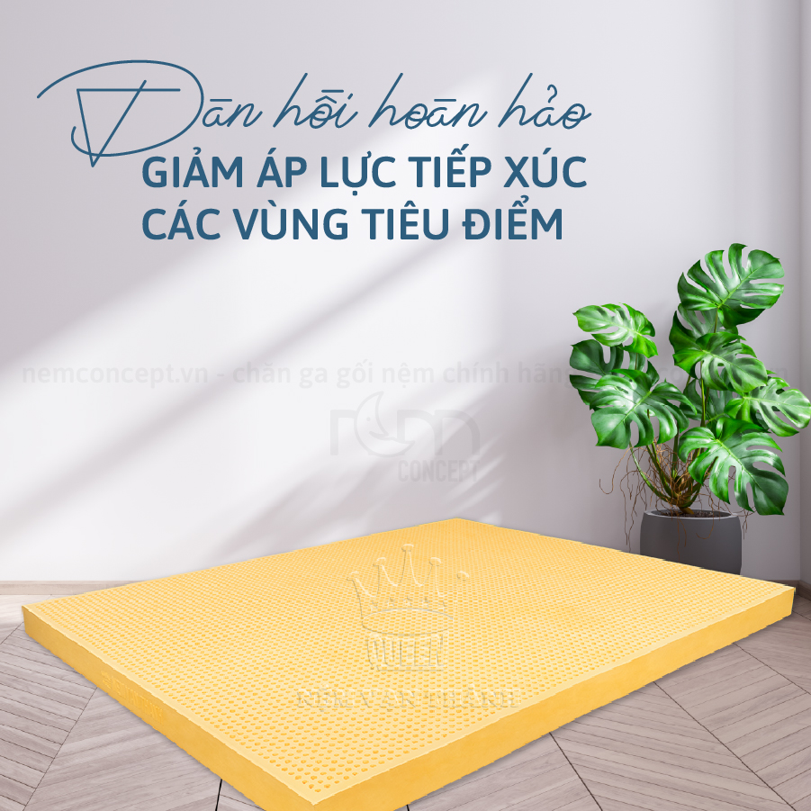 Nệm cao su Vạn Thành Standard - Hình ảnh 2
