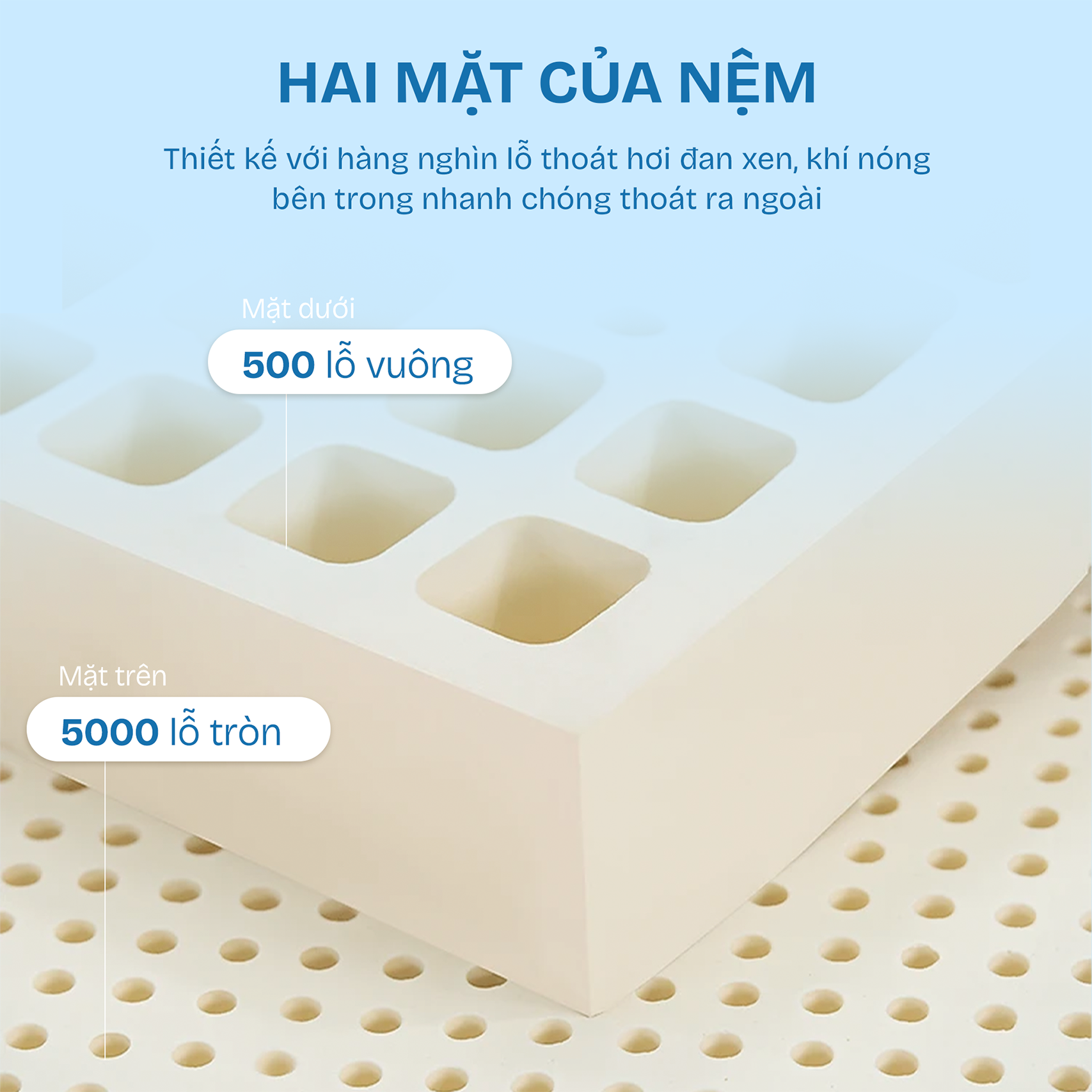 Nệm cao su Kim Cương Happy Gold - Hình ảnh 3