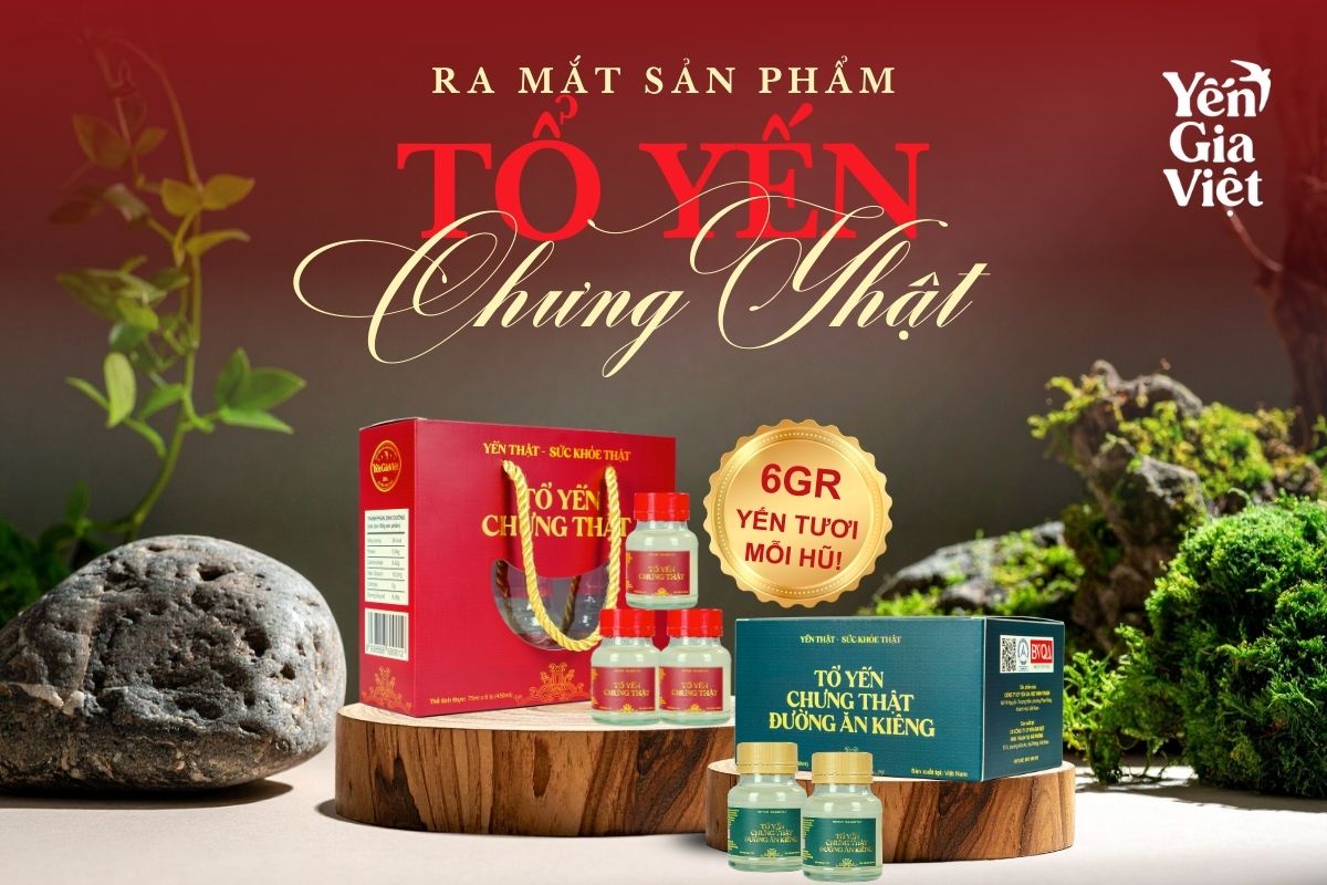 Ra mắt Tổ yến chưng Thật Yến Gia Việt: Mỗi hũ có 6GR yến Thật!
