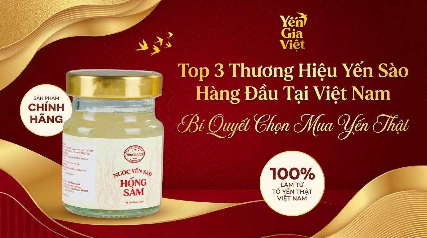 Top 3 Thương Hiệu Yến Sào Hàng Đầu Tại Việt Nam: Bí Quyết Chọn Mua Yến Thật