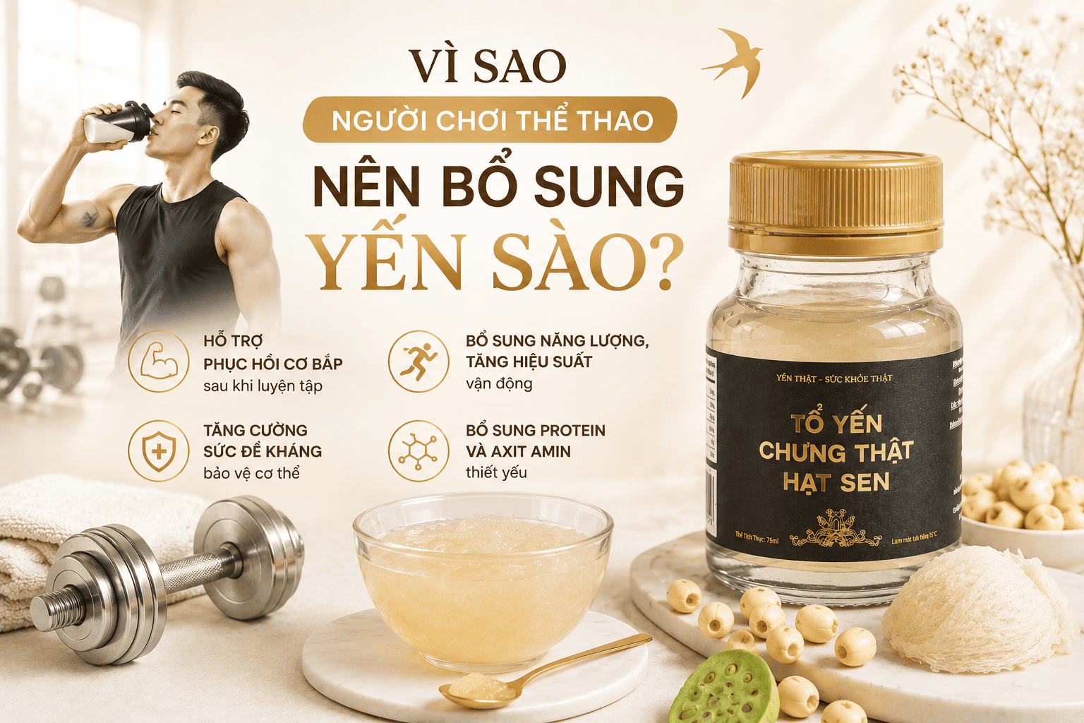 Vì Sao Người Chơi Thể Thao Nên Bổ Sung Yến Sào?