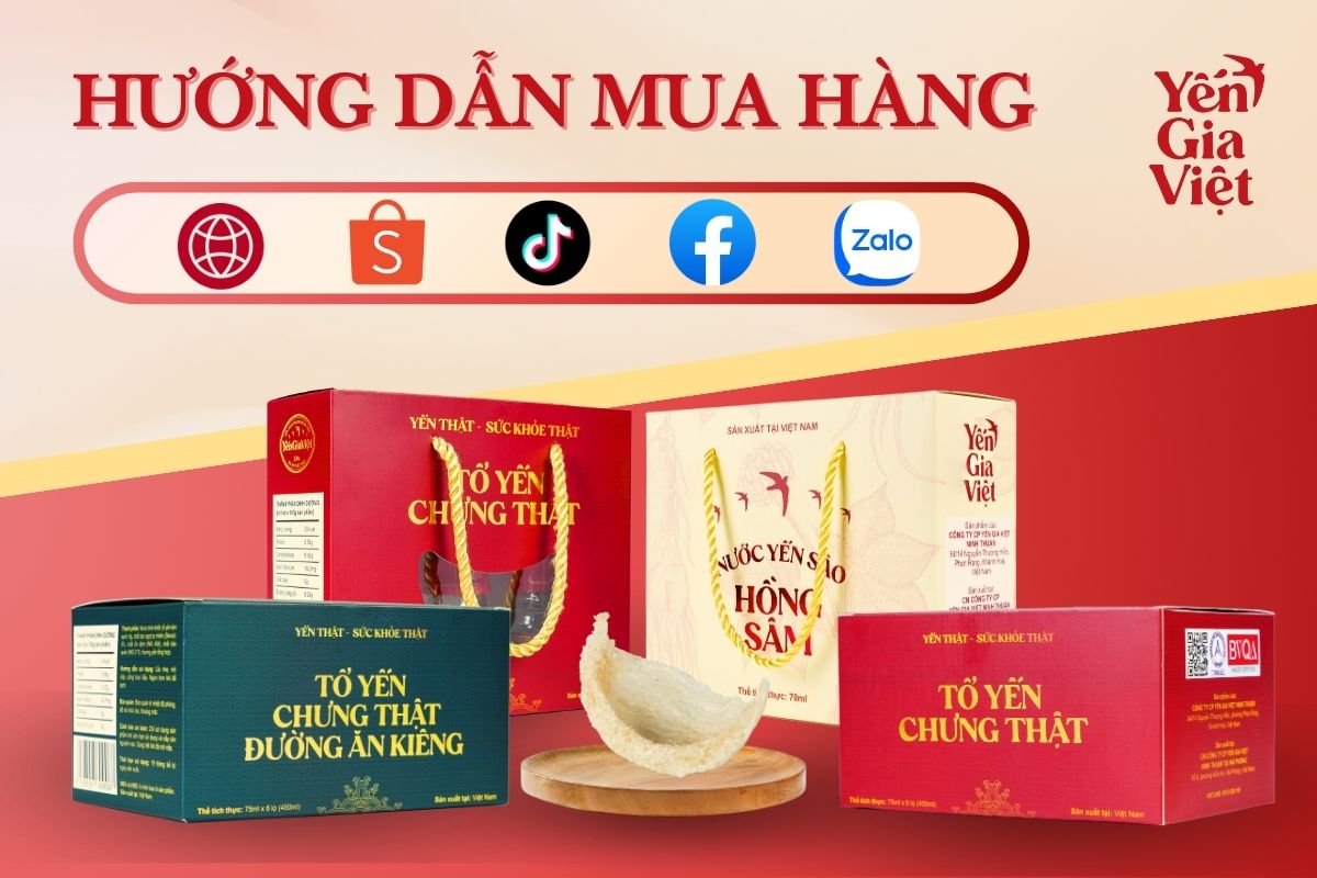 Hướng dẫn mua hàng Yến Gia Việt: Chi tiết - nhanh chóng - thuận tiện
