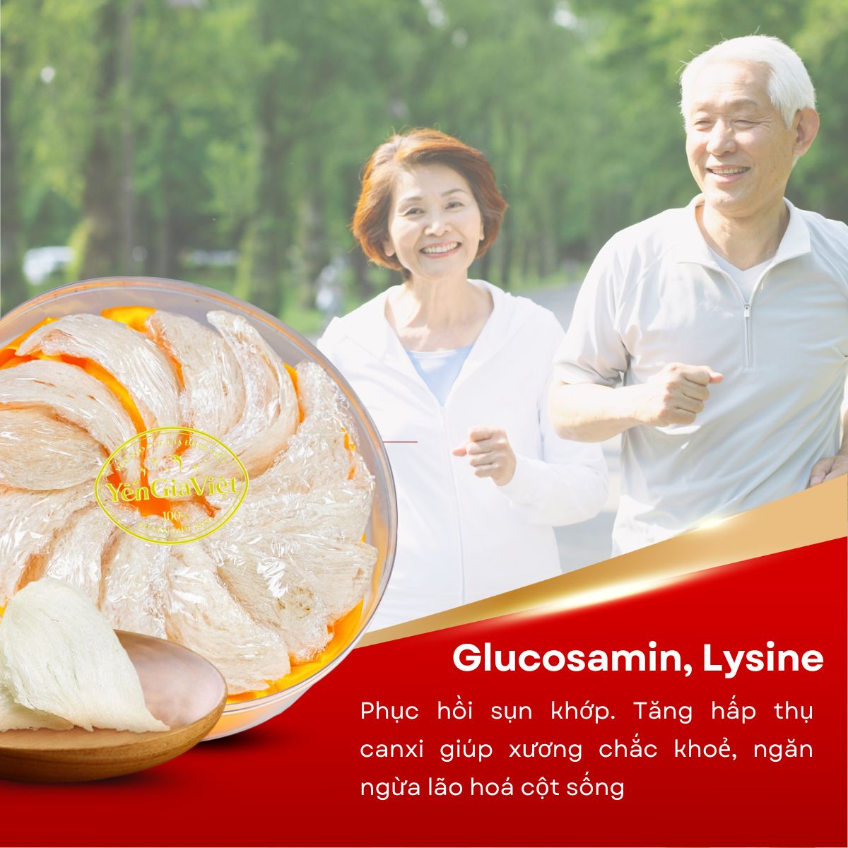 Tổ Yến Tinh Chế  - Hộp 10g