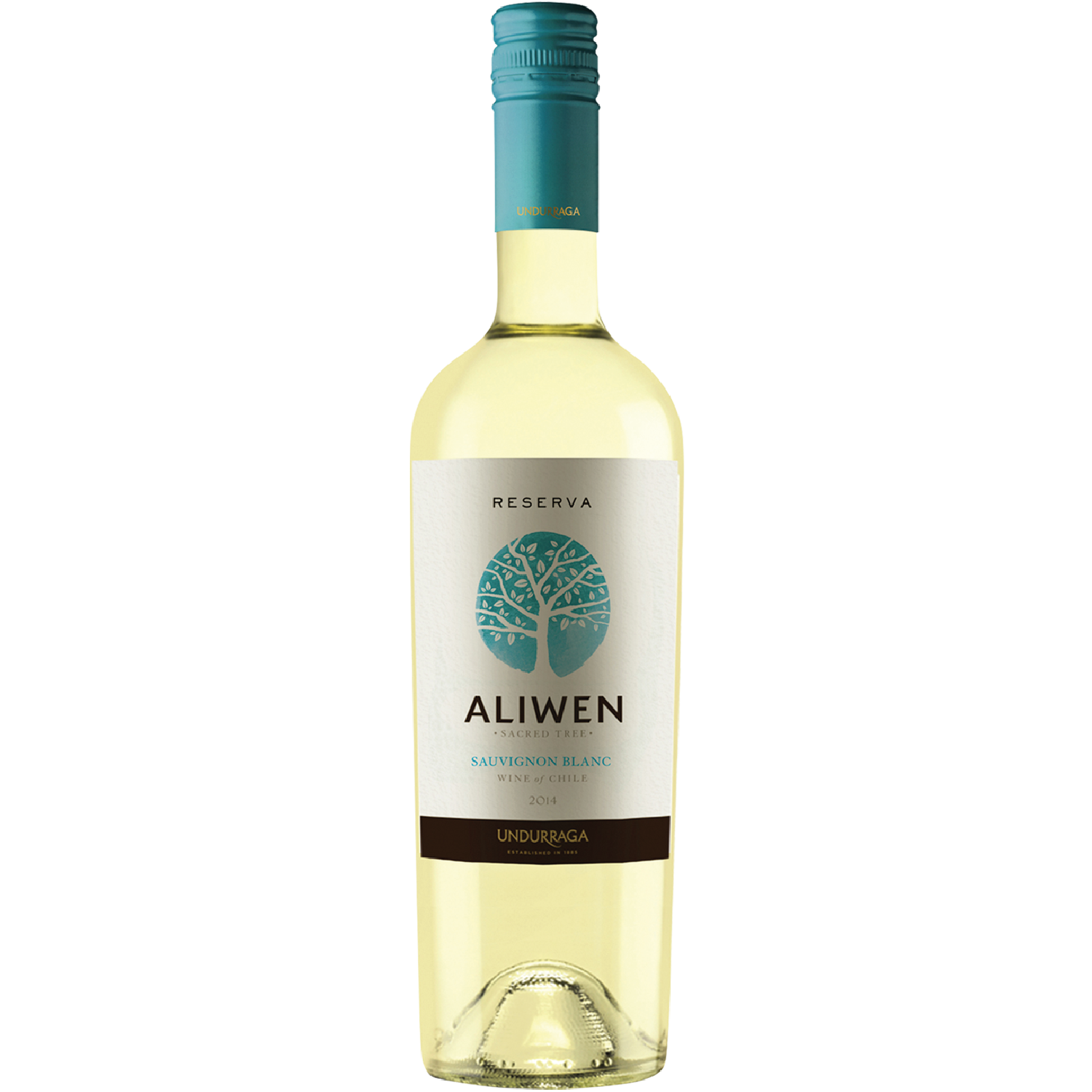 <b>Vang Trắng Chile Aliwen Sauvignon Blanc</b><br>75cl | 13%