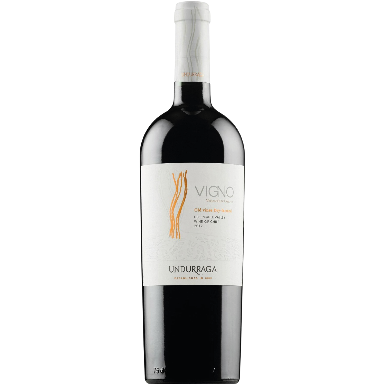<b>Vang Đỏ Chile Vigno</b><br>75cl | 14.5%