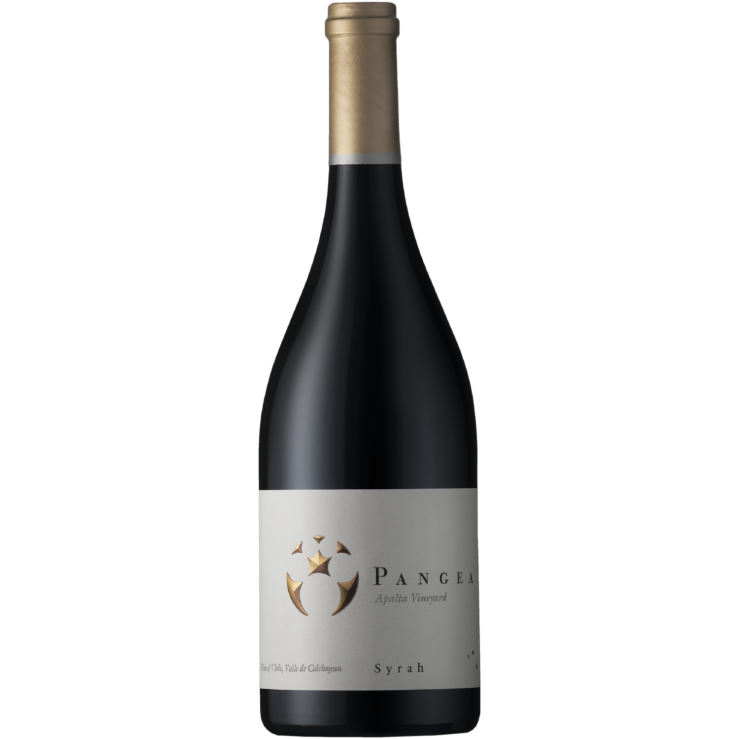 <b>Vang Đỏ Chile Pangea Syrah</b><br>75cl | 14.5%