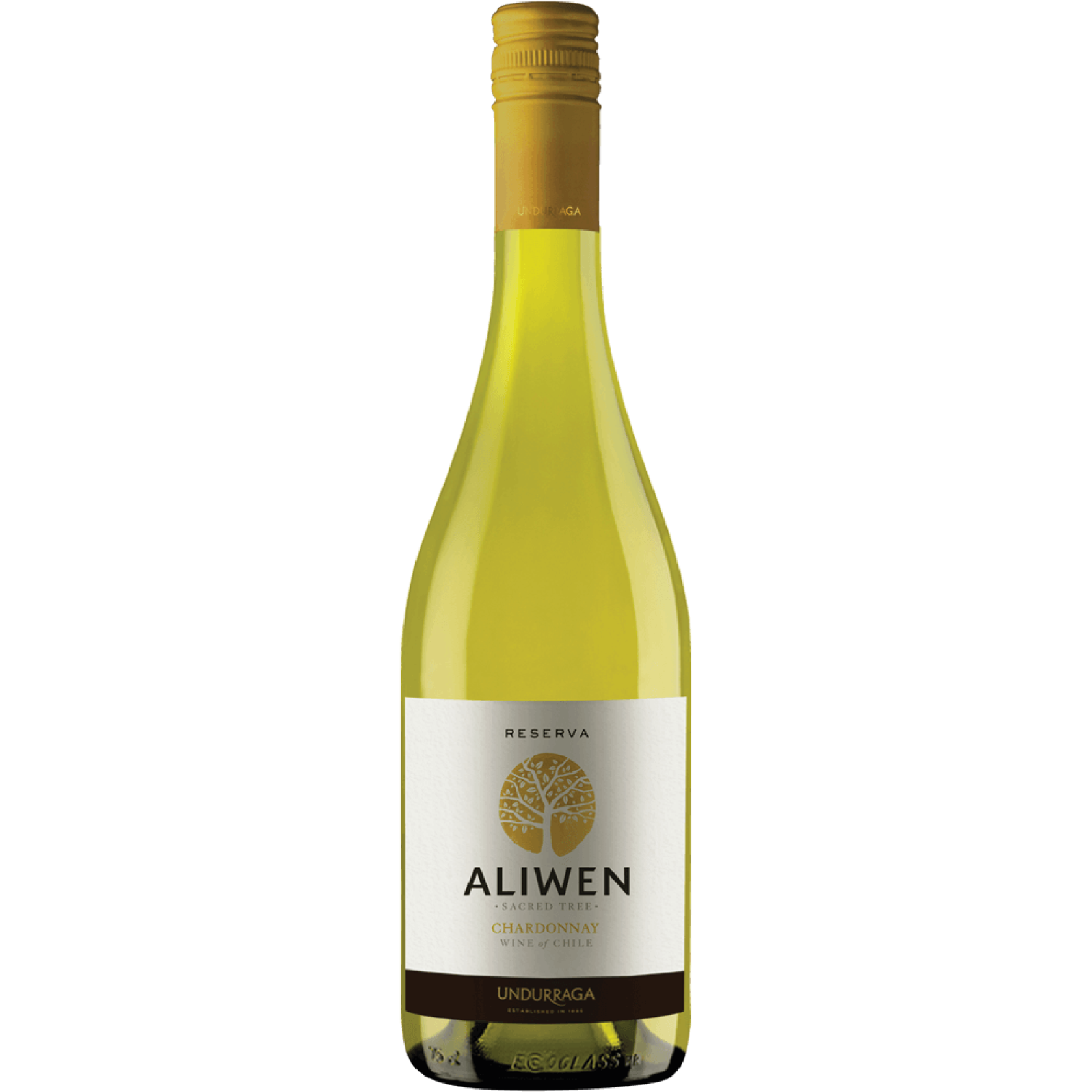 <b>Vang Trắng Chile T.H. Sauvignon Blanc Leyda</b><br>75cl | 13.5%