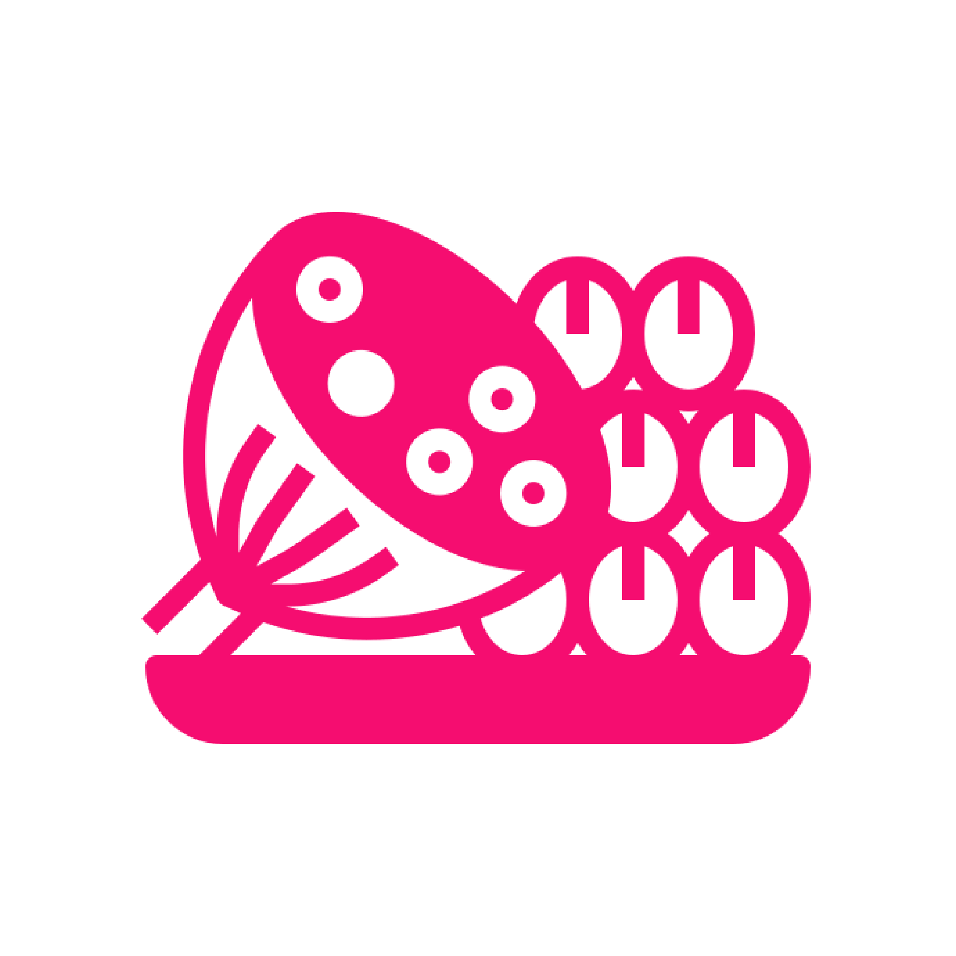 Danh mục Sen Đồng Tháp