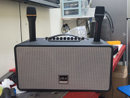 LOA XÁCH TAY, LOA HỘI NGHỊ, LOA HÁT KARAOKE JBA-J166 | Hàng chính hãng