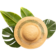 Phụ Kiện