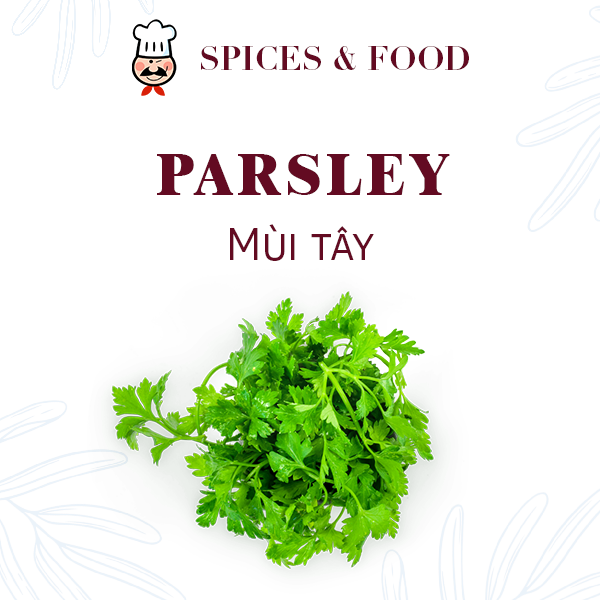 Mùi tây - Parsley