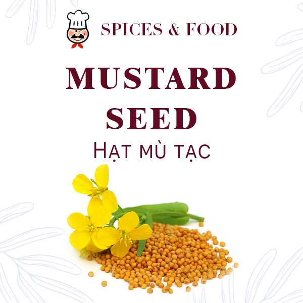 Hạt mù tạc - Mustard seed