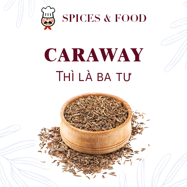 Thì là ba tư - Caraway