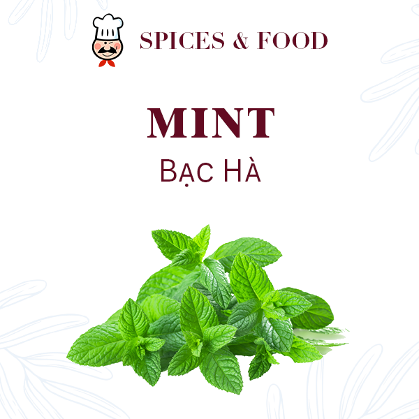 Bạc hà xay nhuyễn - Mint