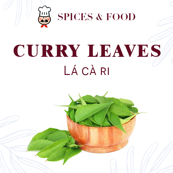 Lá cà ri - Curry Leaves