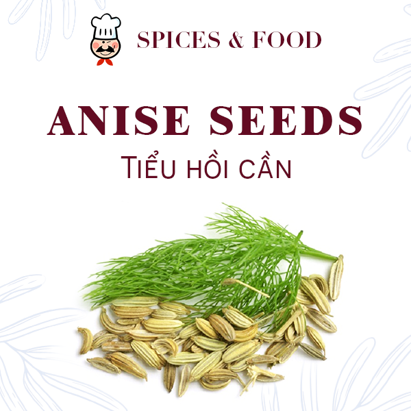 Tiểu hồi cần - Anise seeds