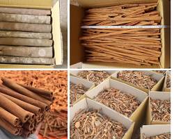 Quế Điếu Cạo Vỏ 8cm
(Cinnamon Sticks)