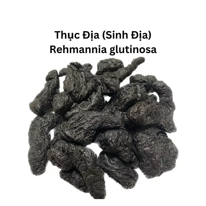 Thục Địa
(Prepared Rehmannia Root)
