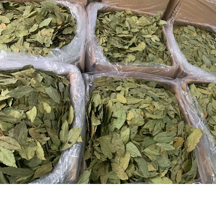 Lá Nguyệt Quế/ Lá Thơm
(Bay Leaf )