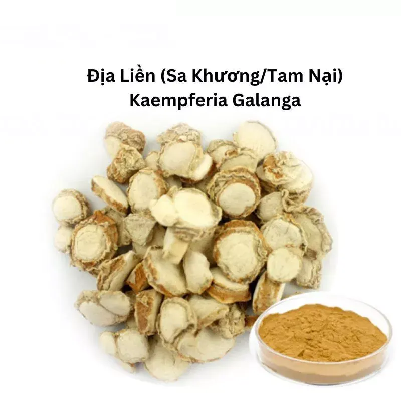 Sa Cương - Địa Liền thái Lát
(Kaempferia Galanga)