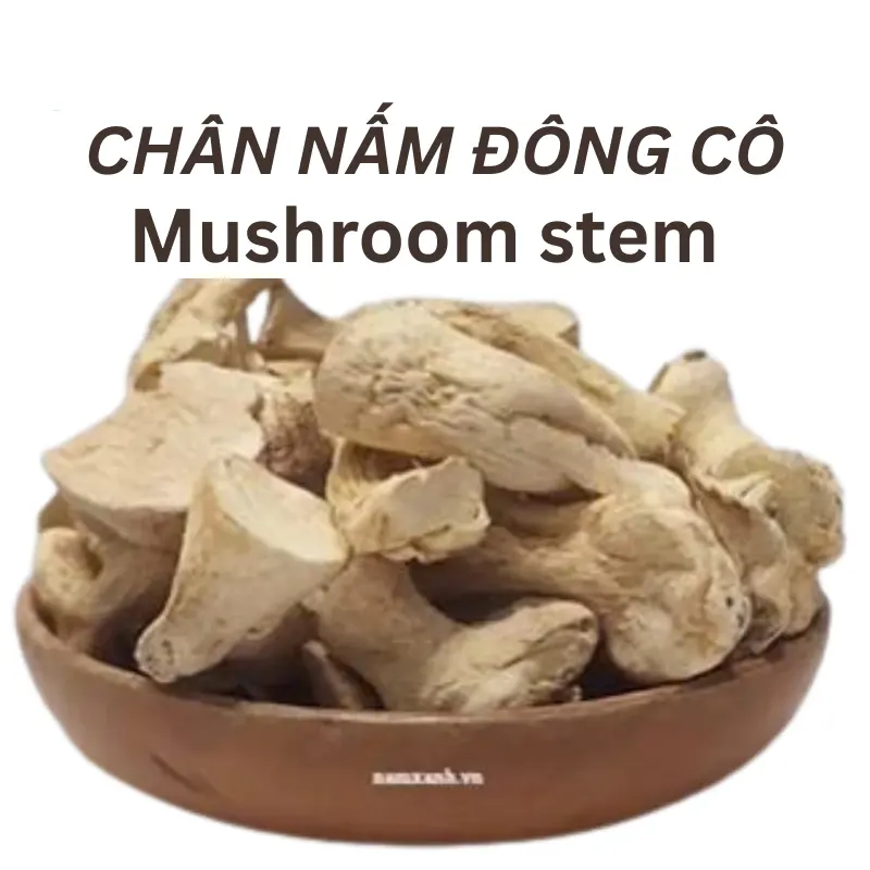 Chân Nấm Đông Cô
(Shiitake Mushrooms)