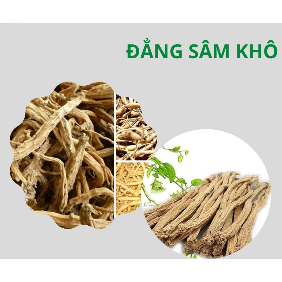 Đẳng Sâm Khô
(Dried Ginseng)