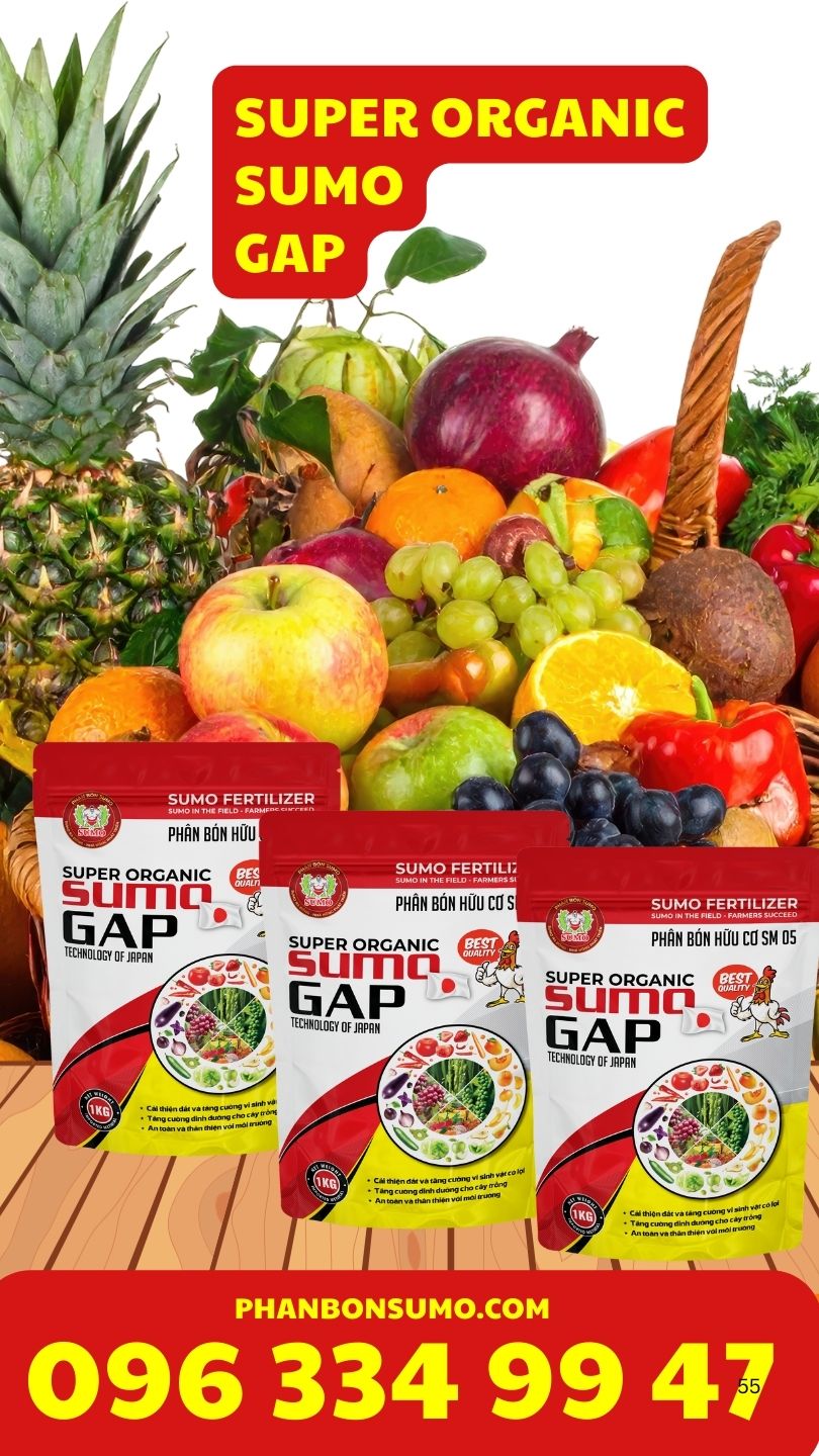 SUPER ORGANIC SUMO GAP - TÚI 1 KG