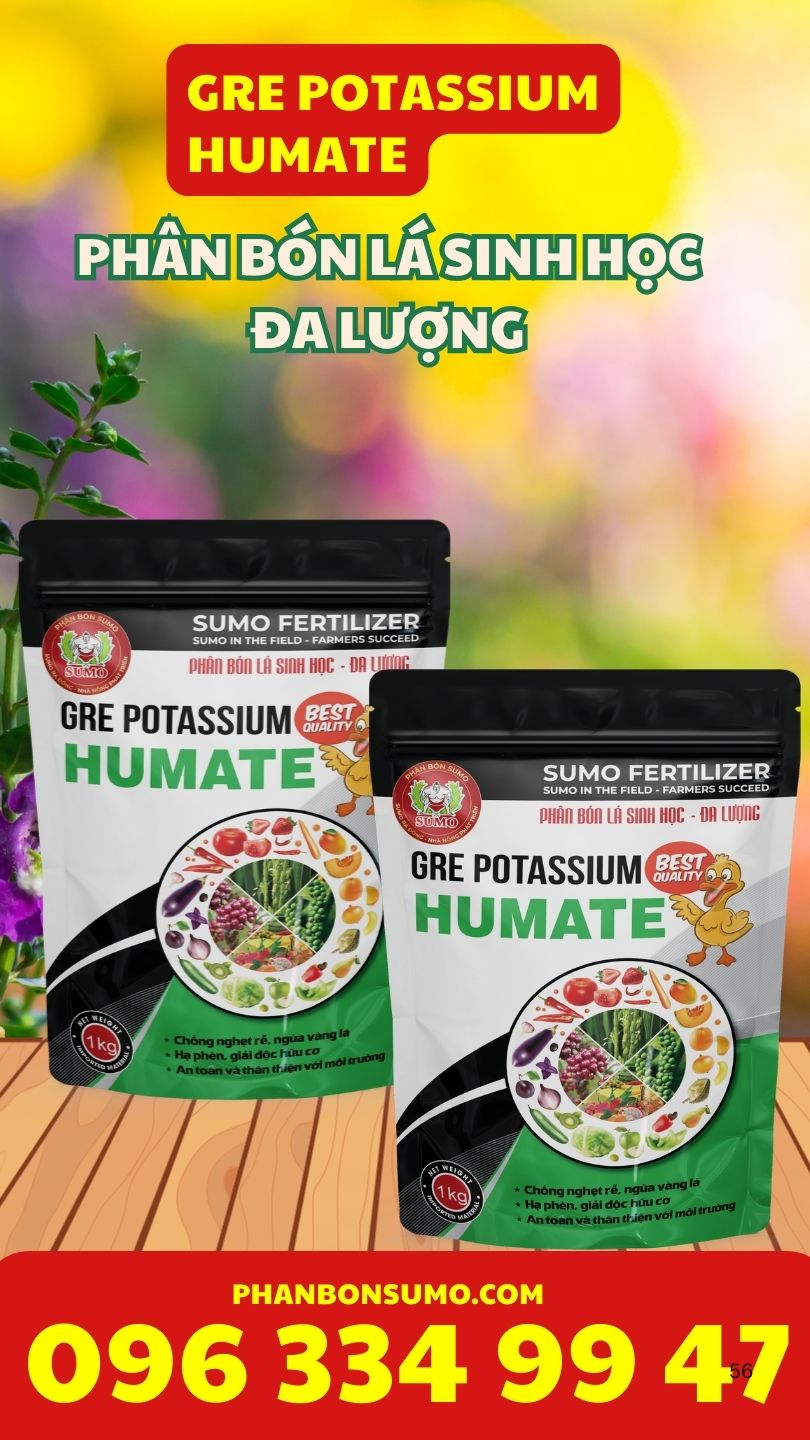 GRE POTASSIUM HUMATE - TÚI 1KG