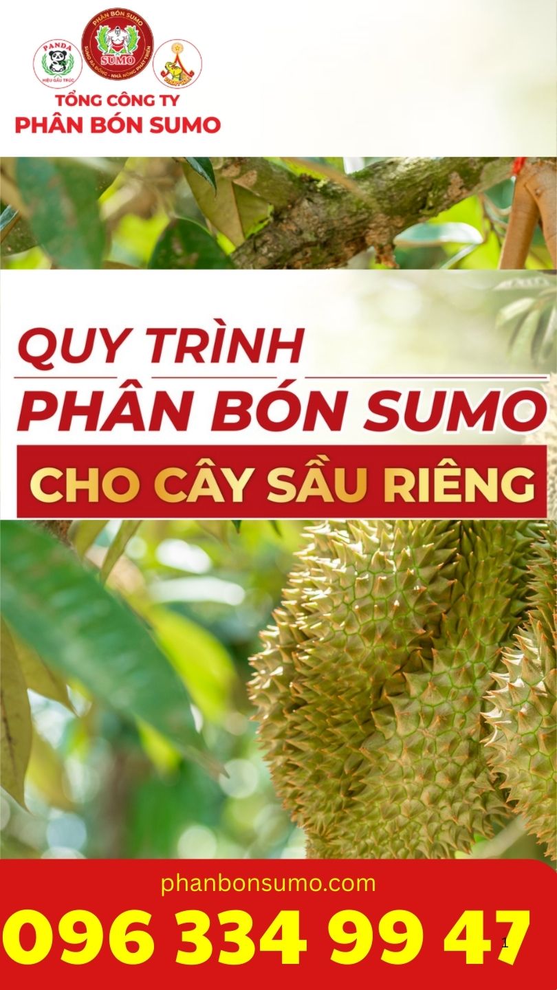 LÂN ĐEN CANXI – MAGIÊ – LÂN