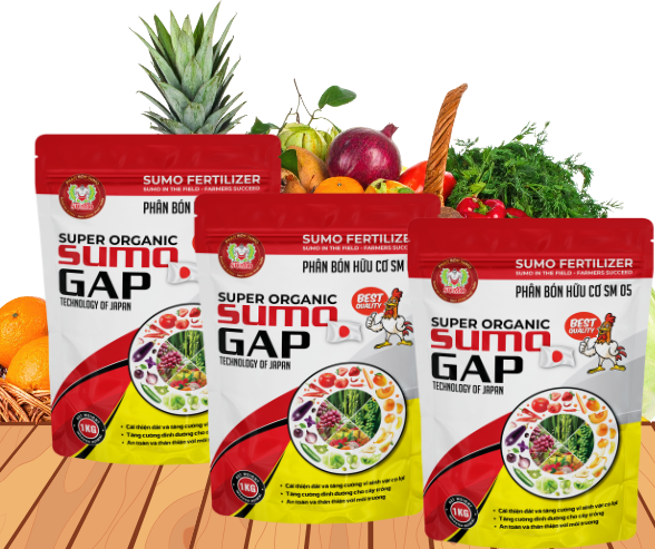 SUPER ORGANIC SUMO GAP - TÚI 1 KG