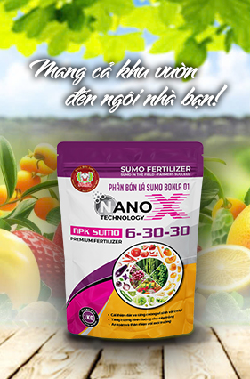 SUPER ORGANIC SUMO GAP - TÚI 1 KG
