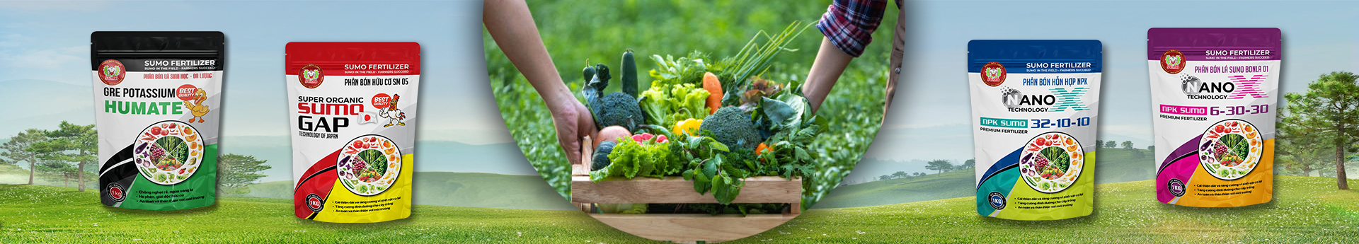 Cải tạo đất – Hồi sức cây
