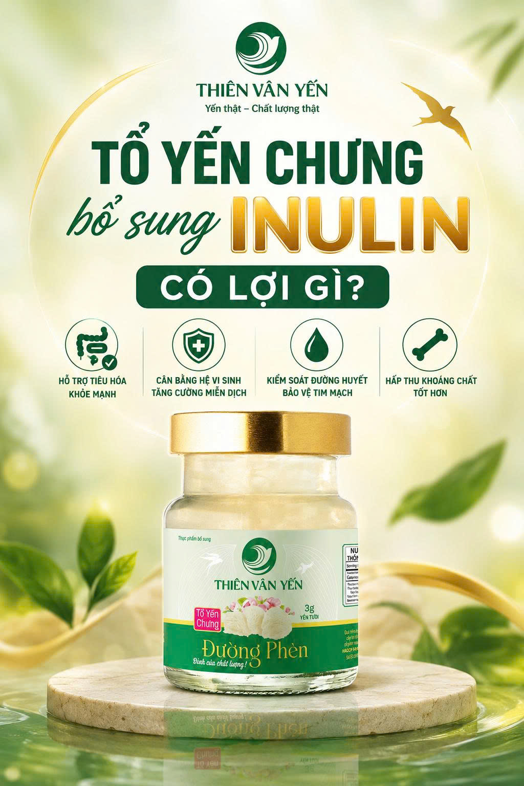 Tổ yến chưng bổ sung Inulin có lợi gì? Chất xơ Inulin là gì?