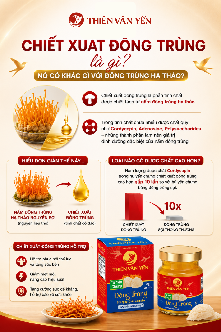 Chiết xuất đông trùng là gì? Nó có khác gì với đông trùng hạ thảo không?