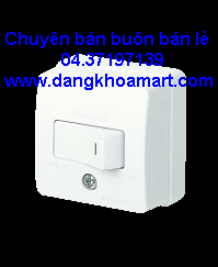 Công Tắc B, 1 chiều Loại Nổi WSG3001
