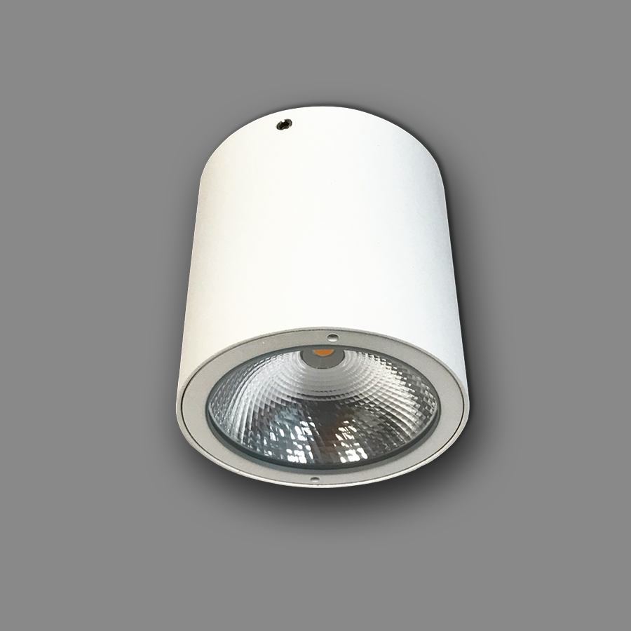 Đèn LED Downlight Ngoài Trời NSDL2236-76 Ánh Sáng Trắng