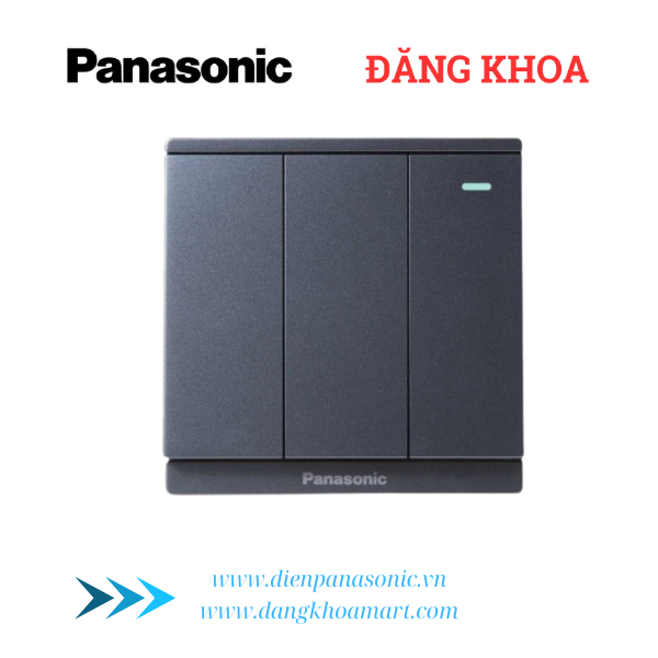 PANASONIC MODERVA