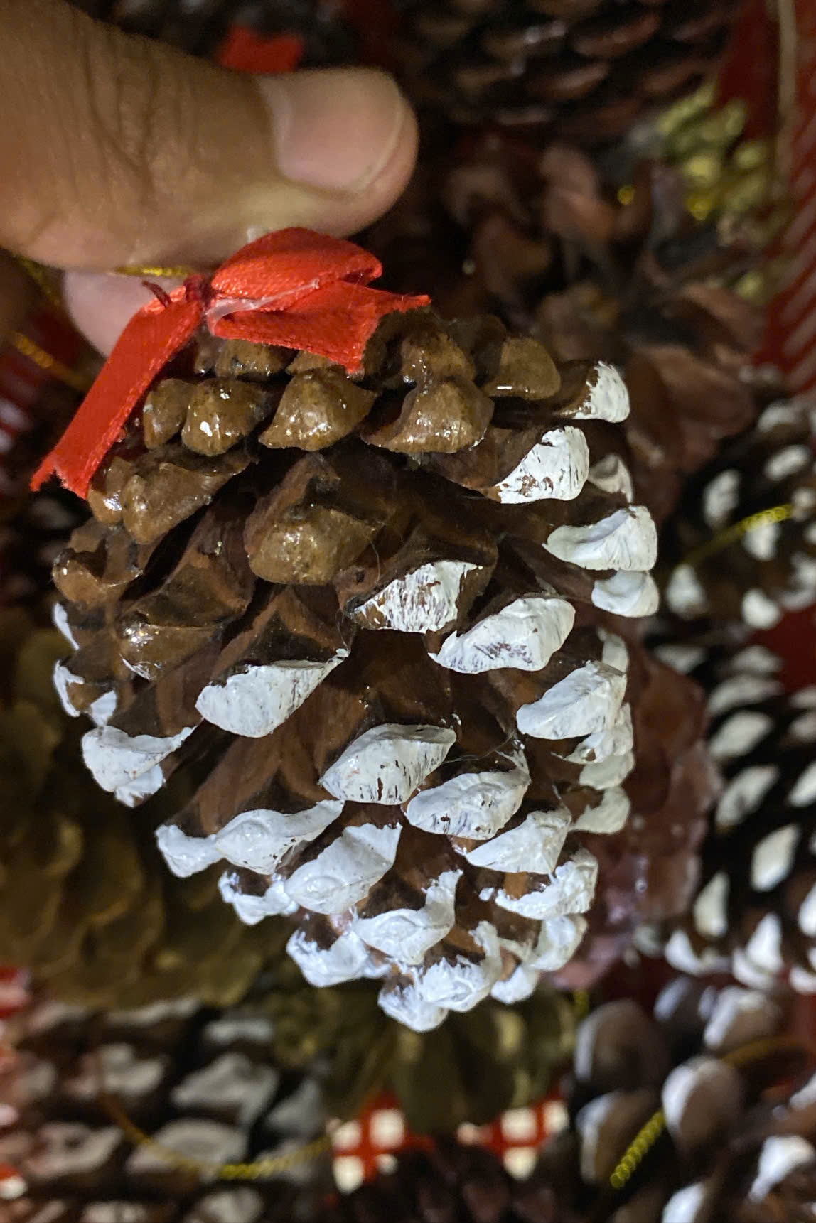 Quả thông nhỏ 5x5