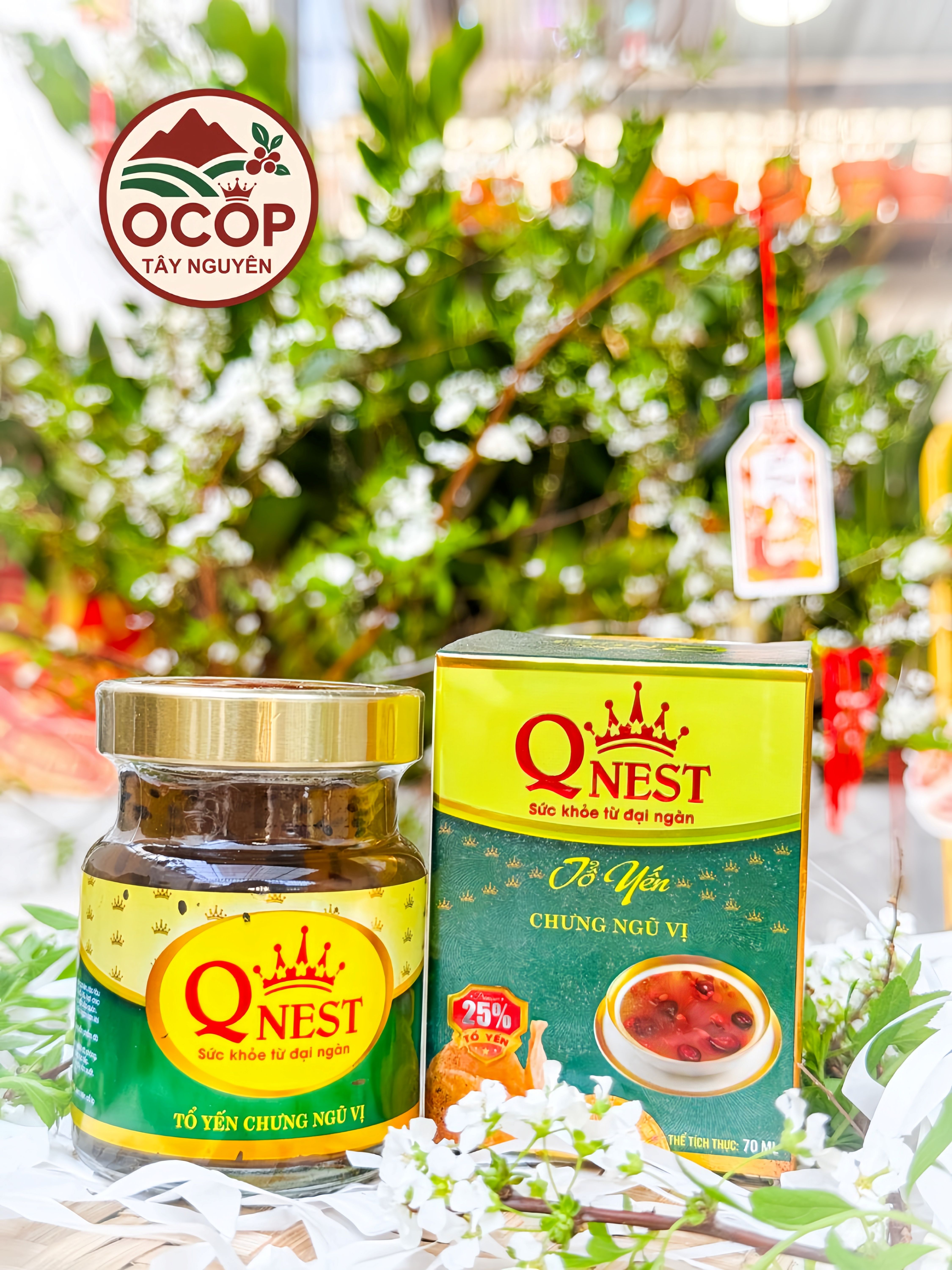 Yến Chưng Ngũ Vị QNEST