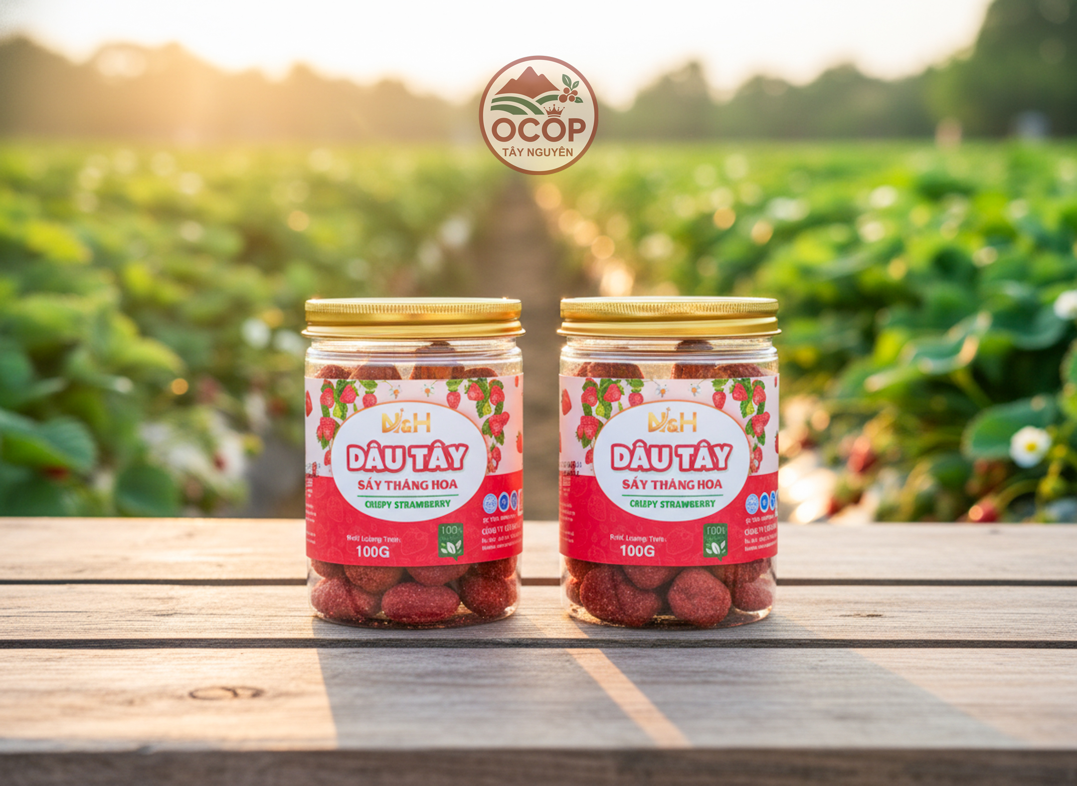 Dâu Tây Sấy Thăng Hoa - NGUYÊN HƯƠNG