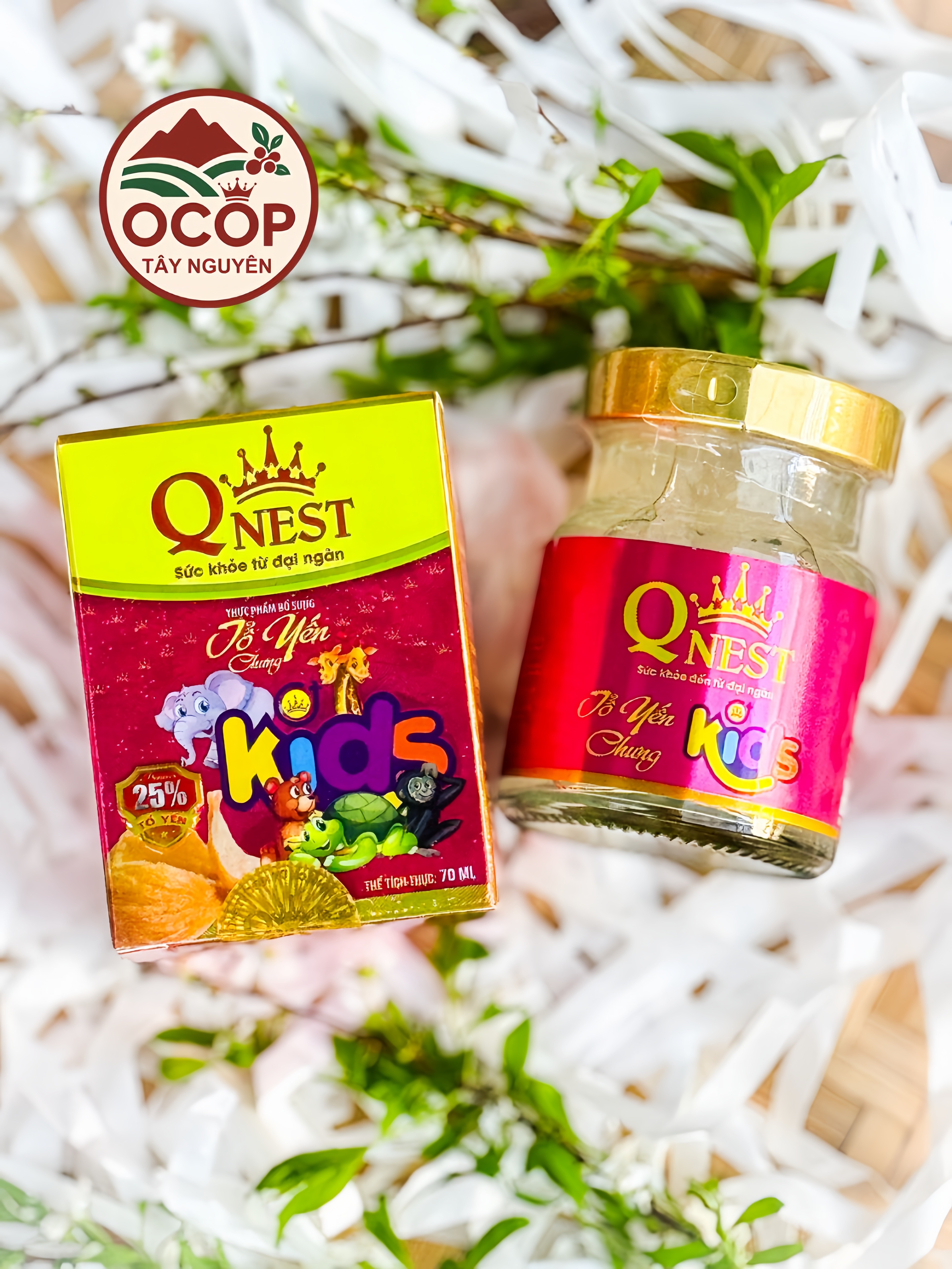 Tổ Yến Chưng Cho Bé QNEST