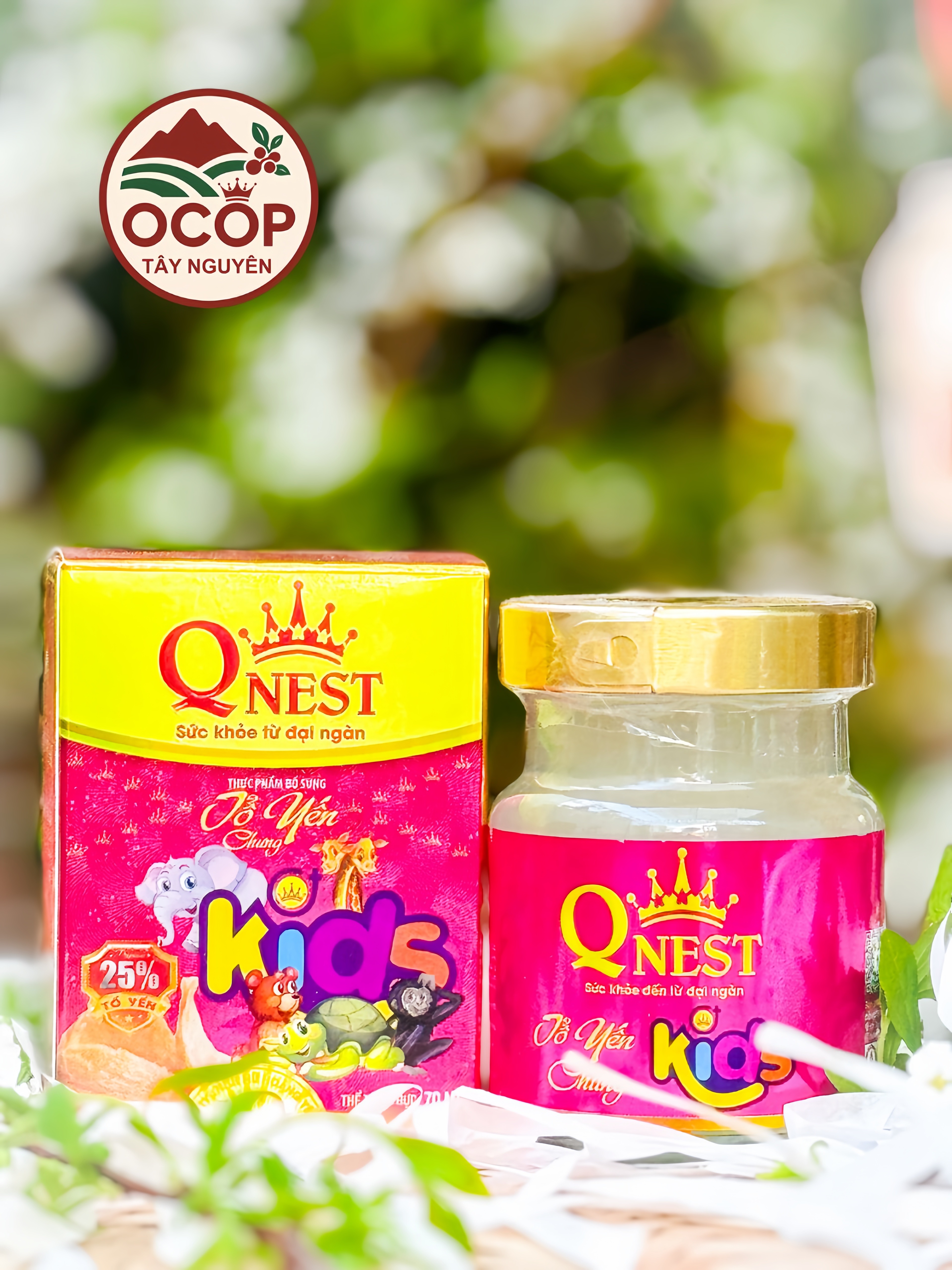 Tổ Yến Chưng Cho Bé QNEST