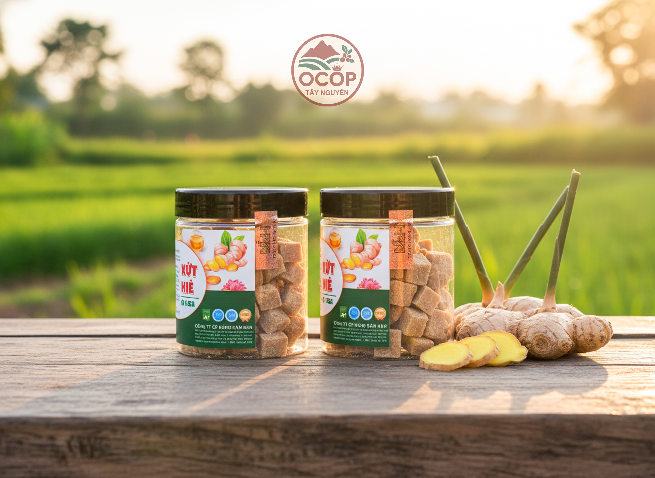 Viên Mứt Gừng Sẻ