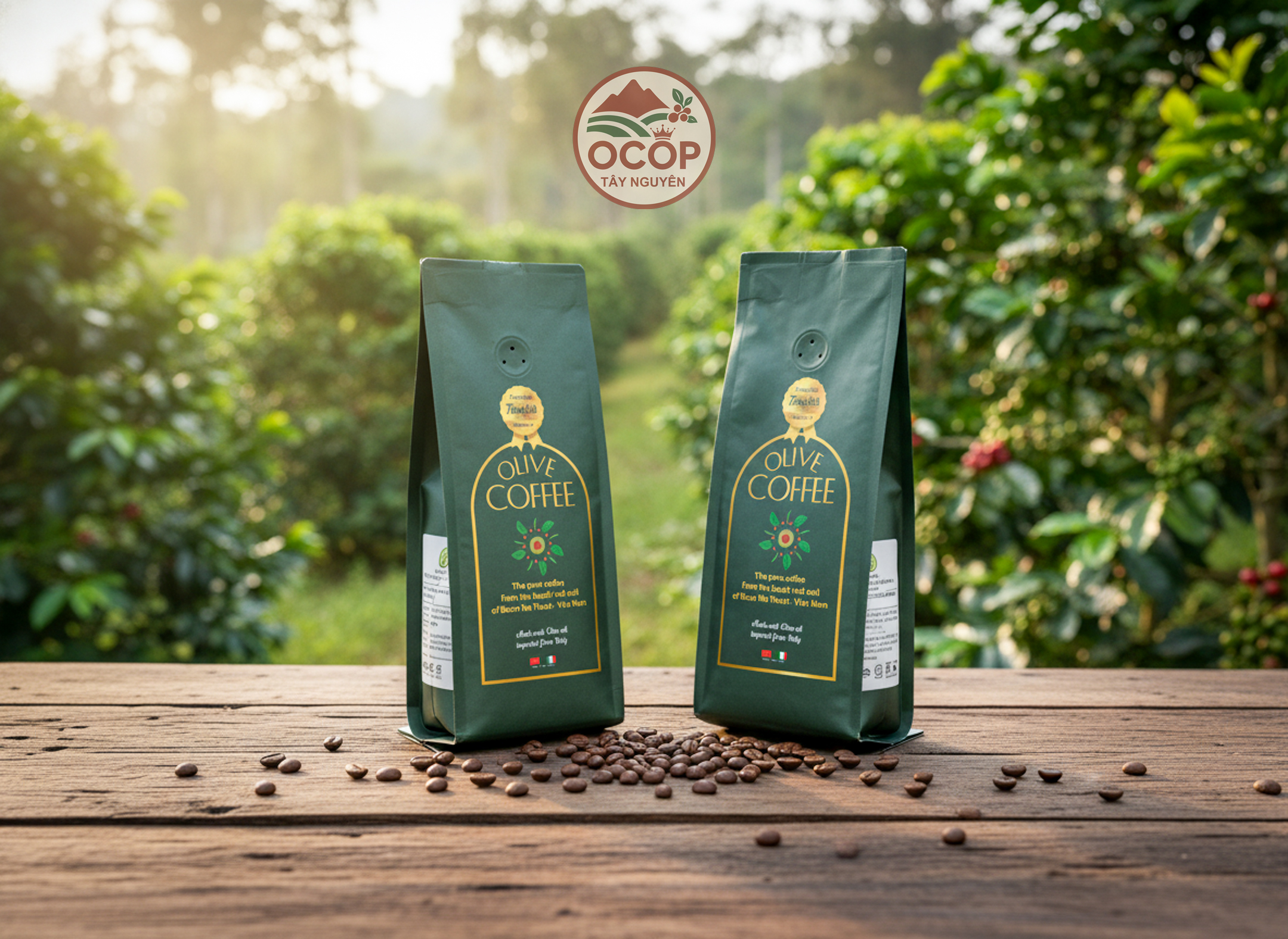 OLIVE COFFEE - PHIÊN BẢN TOURISTS 250G