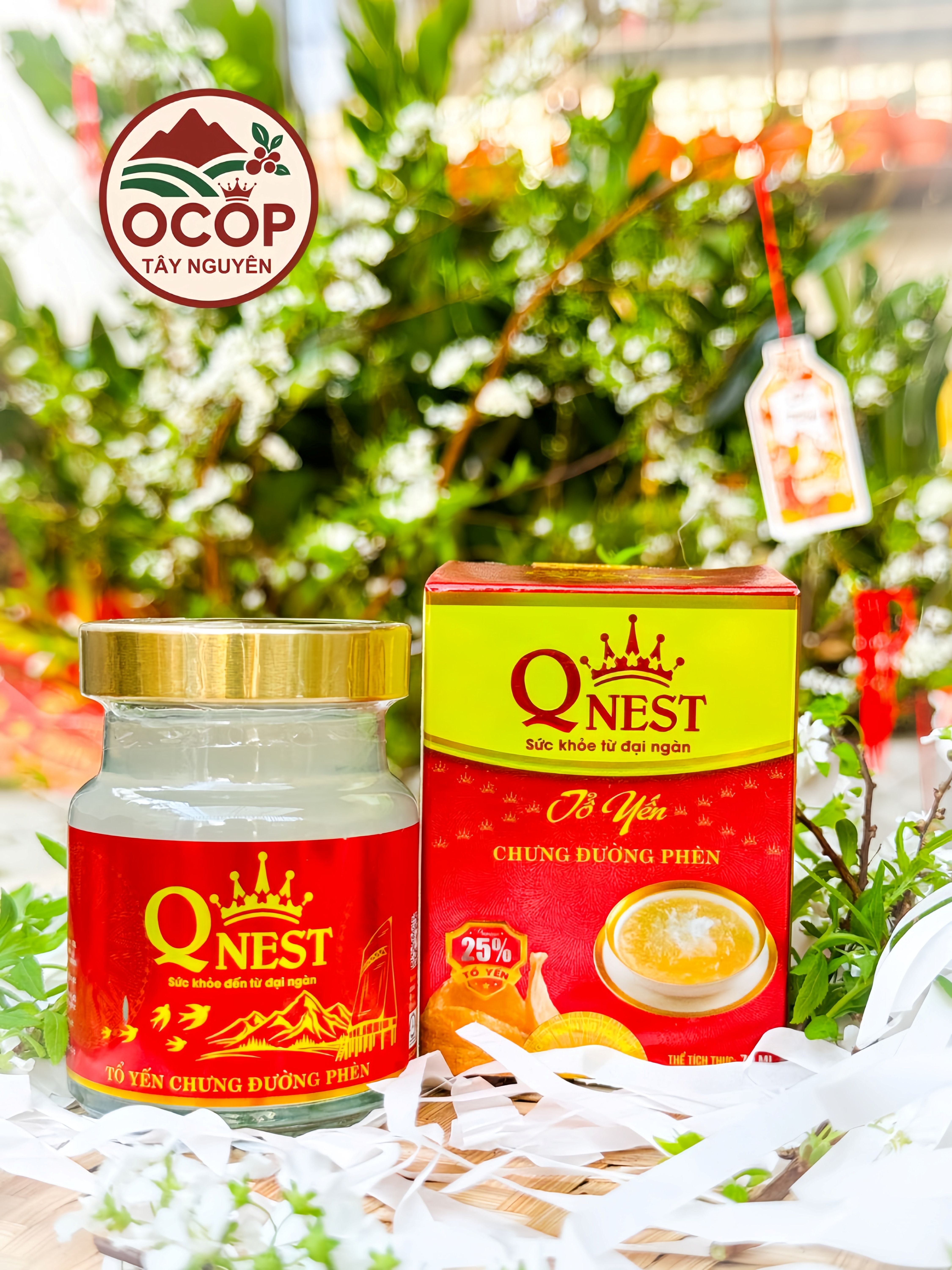 Yến Chưng Đường Phèn